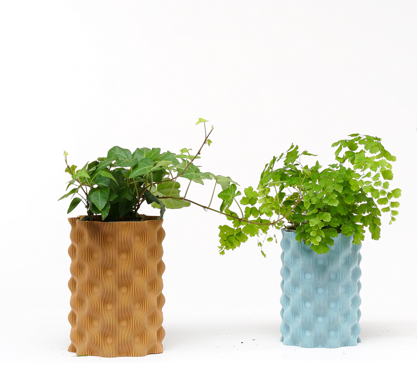 Cosin vase