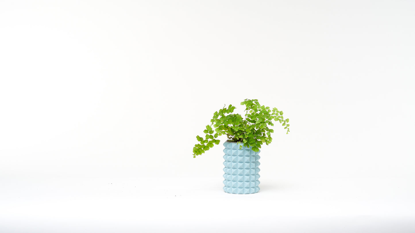 Porcupine vase