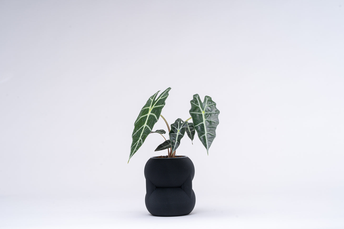 83 vase
