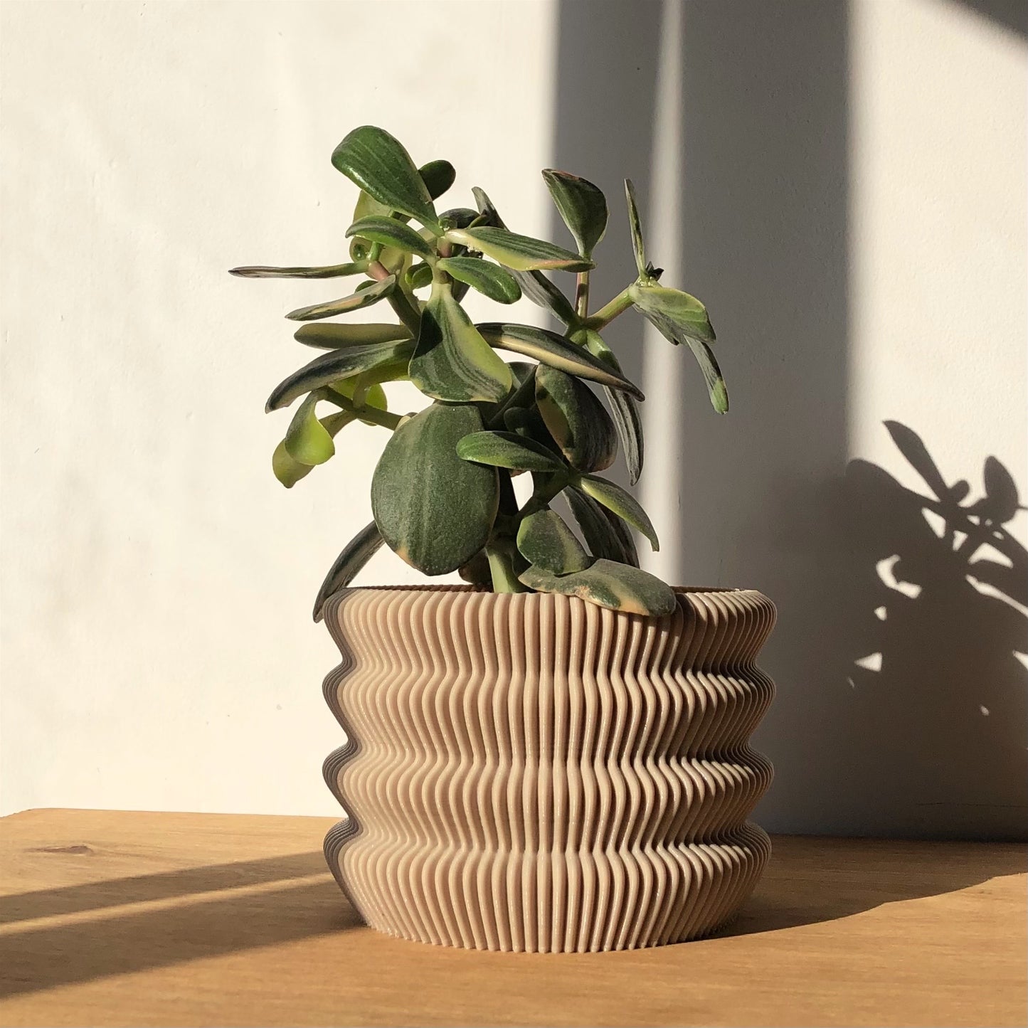 Capri Pot Holder (1 Piece)