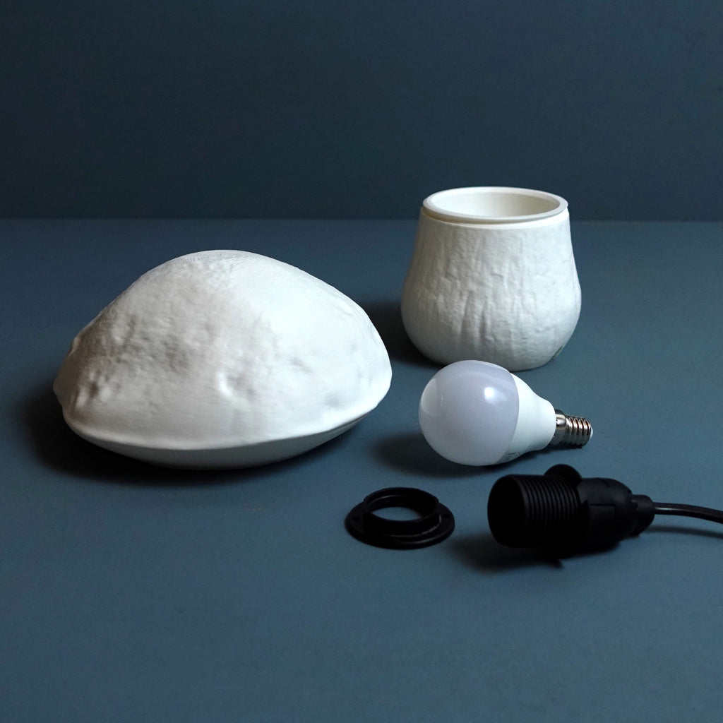 Edulis Fungus Lamp