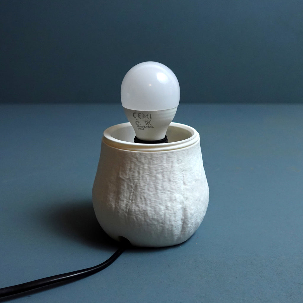 Edulis Fungus Lamp