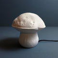 Edulis Fungus Lamp
