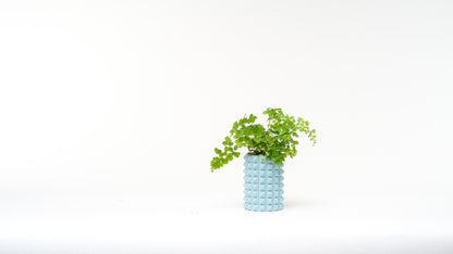 Porcupine vase