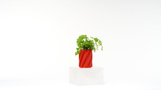 Spaghetti vase