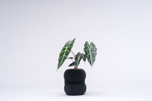 83 vase