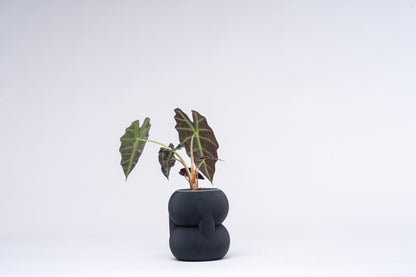 83 vase