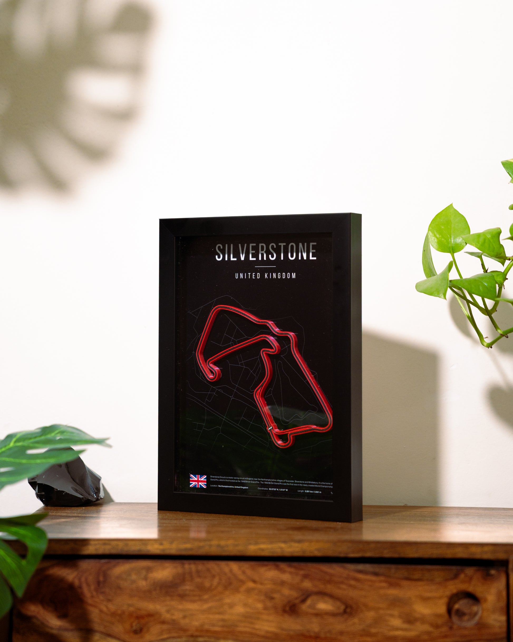 Silverstone 3D F1 Wall Frame – UNIT-01 LABS